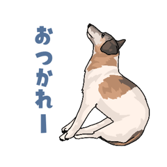 [LINEスタンプ] ジャックラッセルテリア2