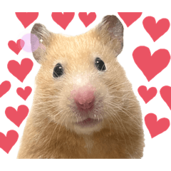 [LINEスタンプ] キンクマのもち様 vol.4