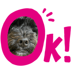 [LINEスタンプ] トイプードルとシーズーのMIX犬エマちゃん