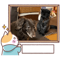[LINEスタンプ] リューク＆ルナ 3