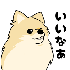 [LINEスタンプ] ポメラニアン 柴カットもあるよ