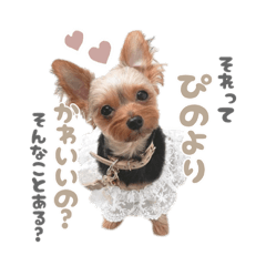[LINEスタンプ] それってぴのよりかわいいの？