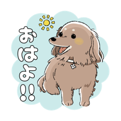 [LINEスタンプ] ひめちゃんの日常スタンプ♪