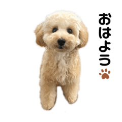 [LINEスタンプ] ちくわ君です。②
