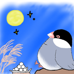 [LINEスタンプ] もこもこ文鳥の日常会話スタンプです。