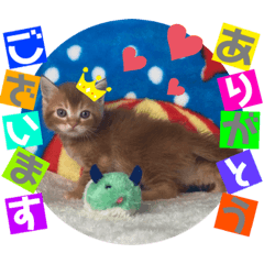 [LINEスタンプ] ねこまーち アクアマリンスター