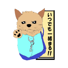 [LINEスタンプ] 袋入りワンちゃん！！Vol.01