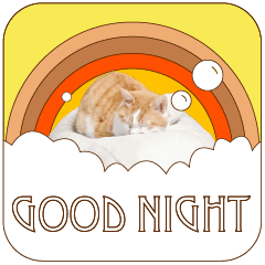 [LINEスタンプ] 不機嫌ネコ・茶太郎さん