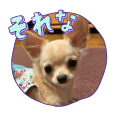 [LINEスタンプ] きなち③