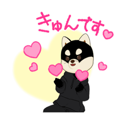 [LINEスタンプ] 黒柴くまお