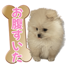 [LINEスタンプ] 愛犬ミルク♥