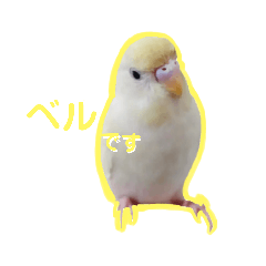 [LINEスタンプ] セキセイインコのベル