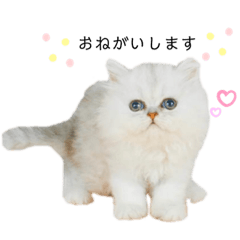 [LINEスタンプ] かわいいつなまよ