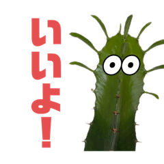 [LINEスタンプ] サボテンズ‼︎