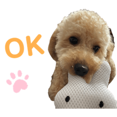 [LINEスタンプ] Kevin①