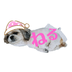 [LINEスタンプ] シーズ犬めいなな姉妹 日常ver
