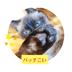 [LINEスタンプ] るーだま