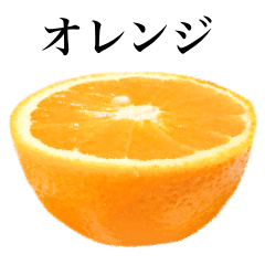 [LINEスタンプ] オレンジ です 果物 フルーツ みかん