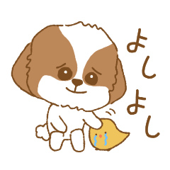 [LINEスタンプ] 毎日使えるシーズー犬のスタンプ