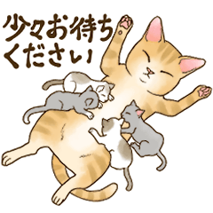 [LINEスタンプ] Love いろいろにゃんこ