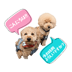[LINEスタンプ] といぷーどる(仮)＊敬語版＊