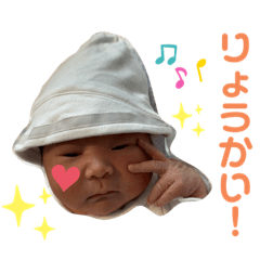 [LINEスタンプ] 橋本家のこうせいくん