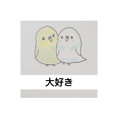 [LINEスタンプ] 初めての文鳥とセキセイインコ