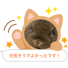 [LINEスタンプ] うさ飼いさん用スタンプ