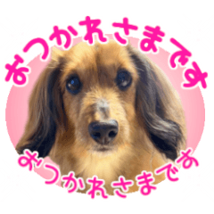 [LINEスタンプ] 【ラブ専用】スタンプ