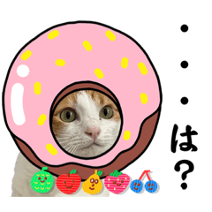 [LINEスタンプ] 柴犬と猫⑤