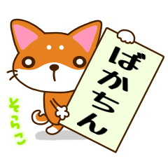 [LINEスタンプ] 柴犬そらこ【毒舌】