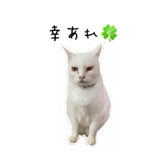 [LINEスタンプ] ふーたのいちにち