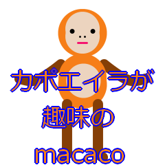 [LINEスタンプ] カポエイラが趣味のマカコとその仲間たち