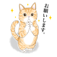 [LINEスタンプ] ニャンコさん(茶トラ多め)