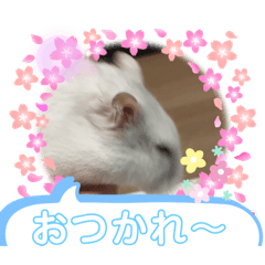 [LINEスタンプ] るーちゃんスタンプⅣ