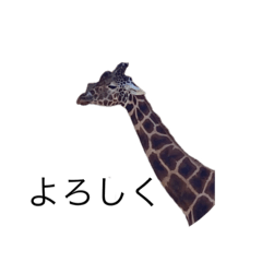 [LINEスタンプ] 旭山の動物たち2