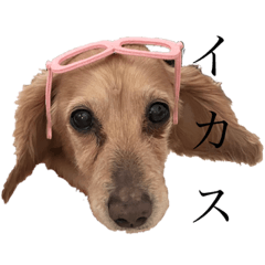 [LINEスタンプ] ムースのスタンプ①
