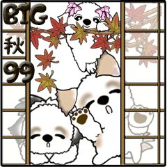 [LINEスタンプ] 【Big】シーズー犬と仲間たち 99『秋』