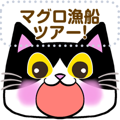 [LINEスタンプ] 【書き込める】はちわれネコの色々な顔♪鮪