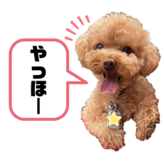 [LINEスタンプ] コタロースタンプ4