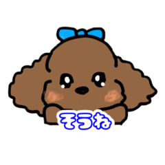 [LINEスタンプ] トイプーのシエルちゃん