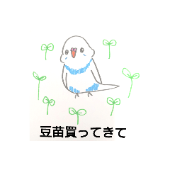 [LINEスタンプ] 楽しいインコたちと文鳥たち