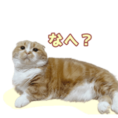 [LINEスタンプ] ももなつまみ22
