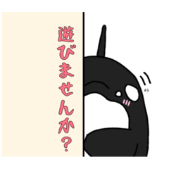 [LINEスタンプ] シャチくんの日常会話スタンプ