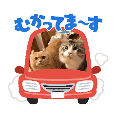 [LINEスタンプ] Nana＆June2