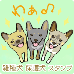 [LINEスタンプ] 雑種犬スタンプ ニトラゴンと仲間たち