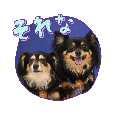 [LINEスタンプ] Kojiromaru＆Jubee6