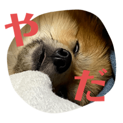 [LINEスタンプ] ガルルなな③
