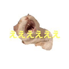 [LINEスタンプ] のび太やまだ