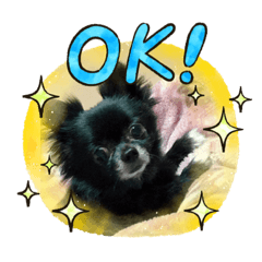 [LINEスタンプ] くぅたんスタンプ2